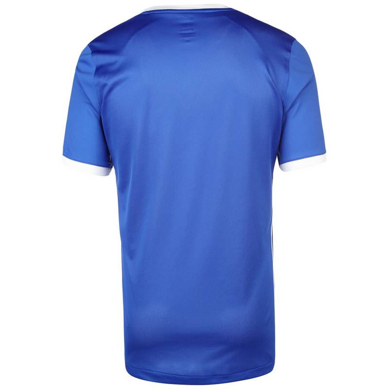 Nike Challenge IV Trikot Herren