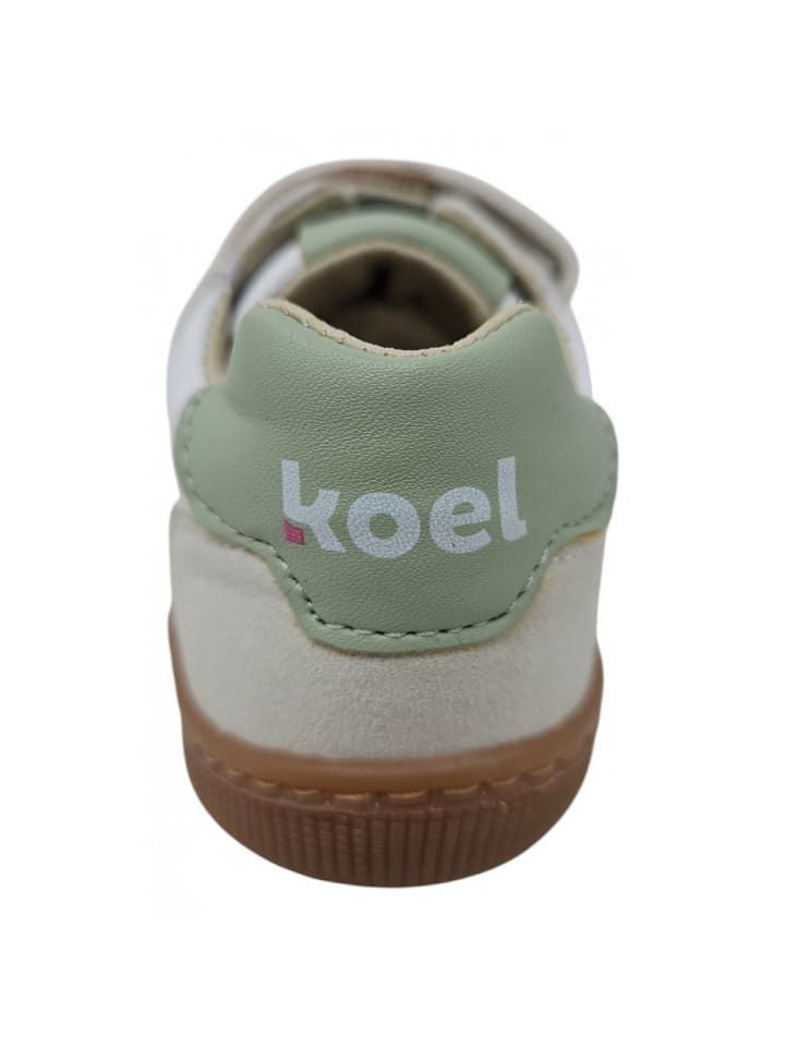 KOEL Klettschuh Dylon in Grün günstig kaufen