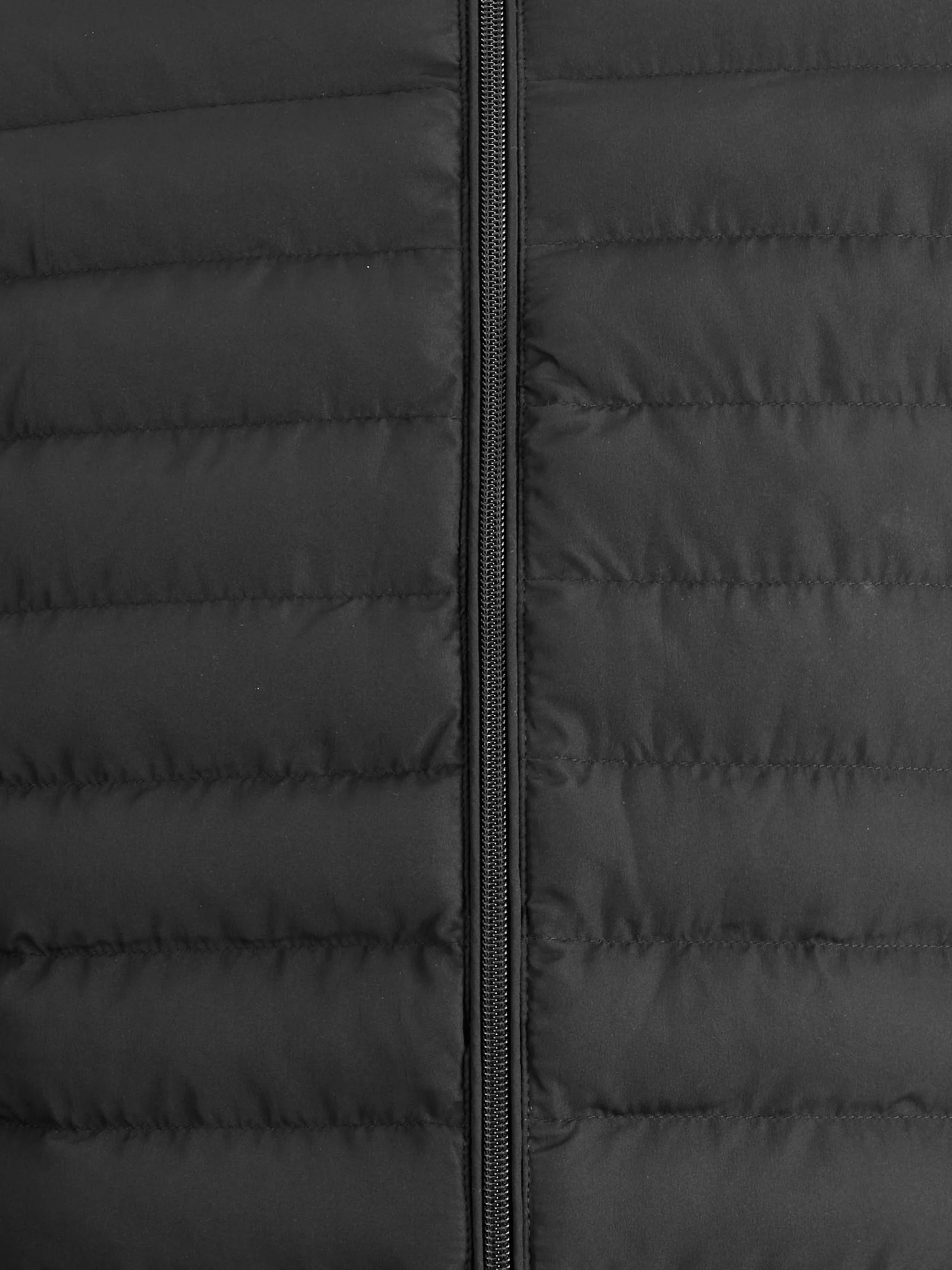 Jack & Jones PREMIUM PUFFER COLLAR - Chaqueta de entretiempo