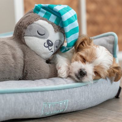 Trixie Junior Hundespielzeug Faultier