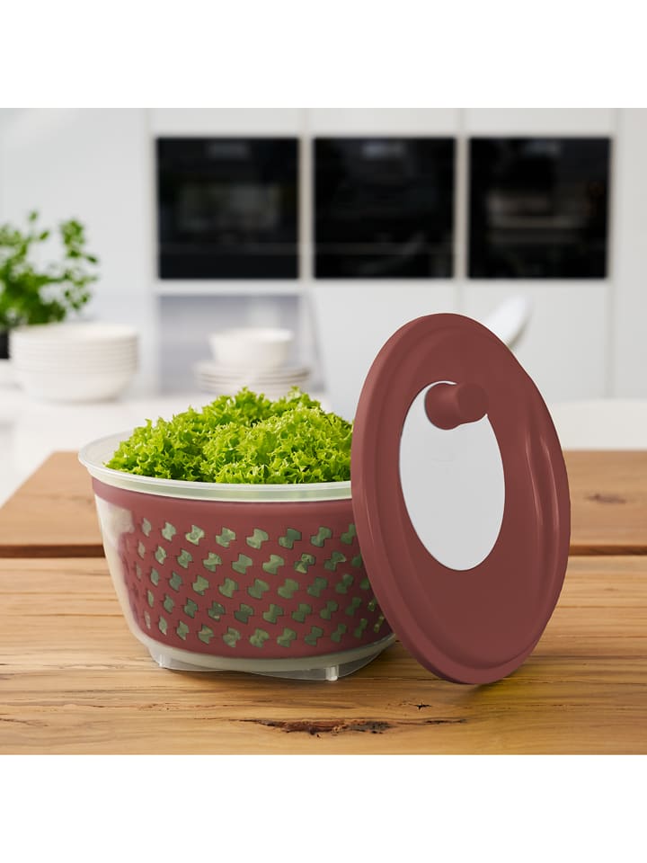 Rotho Fresh Salatschleuder, Kunststoff (PP) in Iron rot günstig kaufen onesize