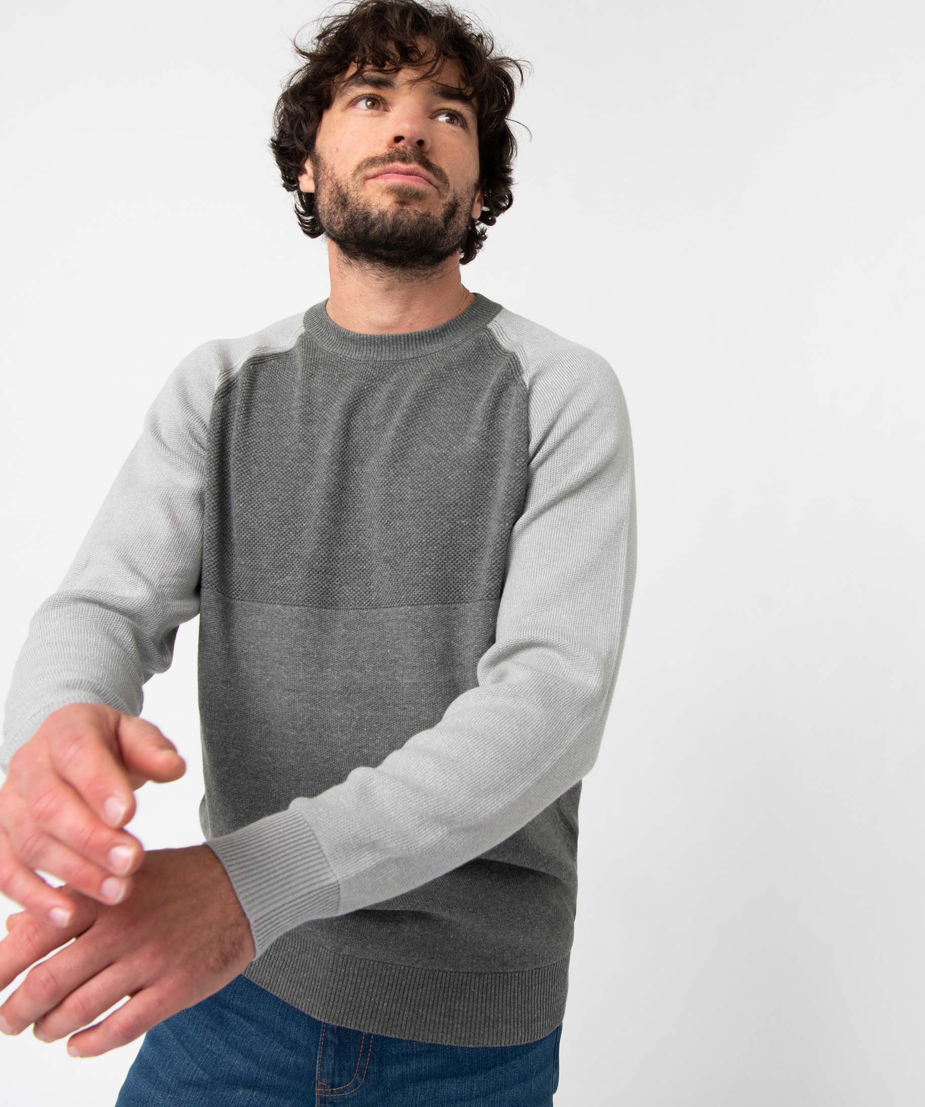 Pull homme bicolore à maille fantaisie gris | GEMO