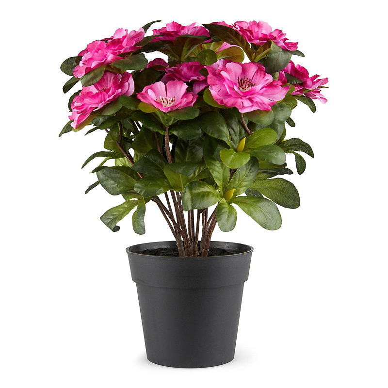 Home Belgisk Azalea 25 cm kunstig