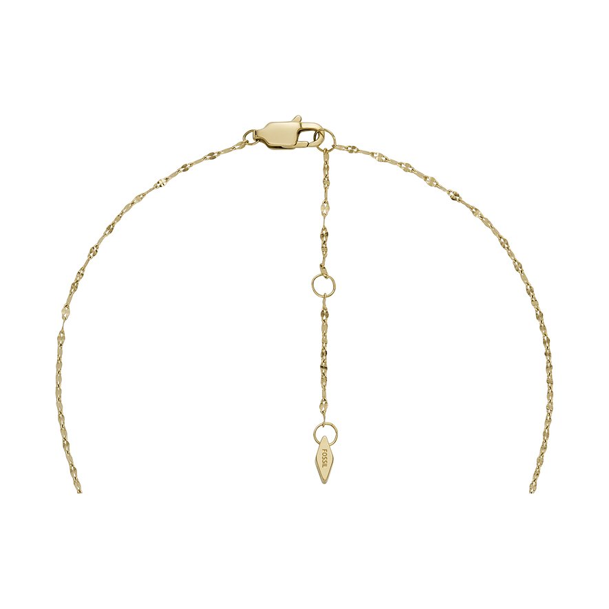 Fossil Kette