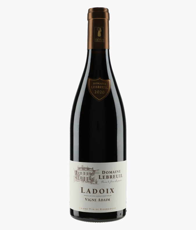 Ladoix Vigne Adaim 2020LEBREUIL PIERRE & J-B