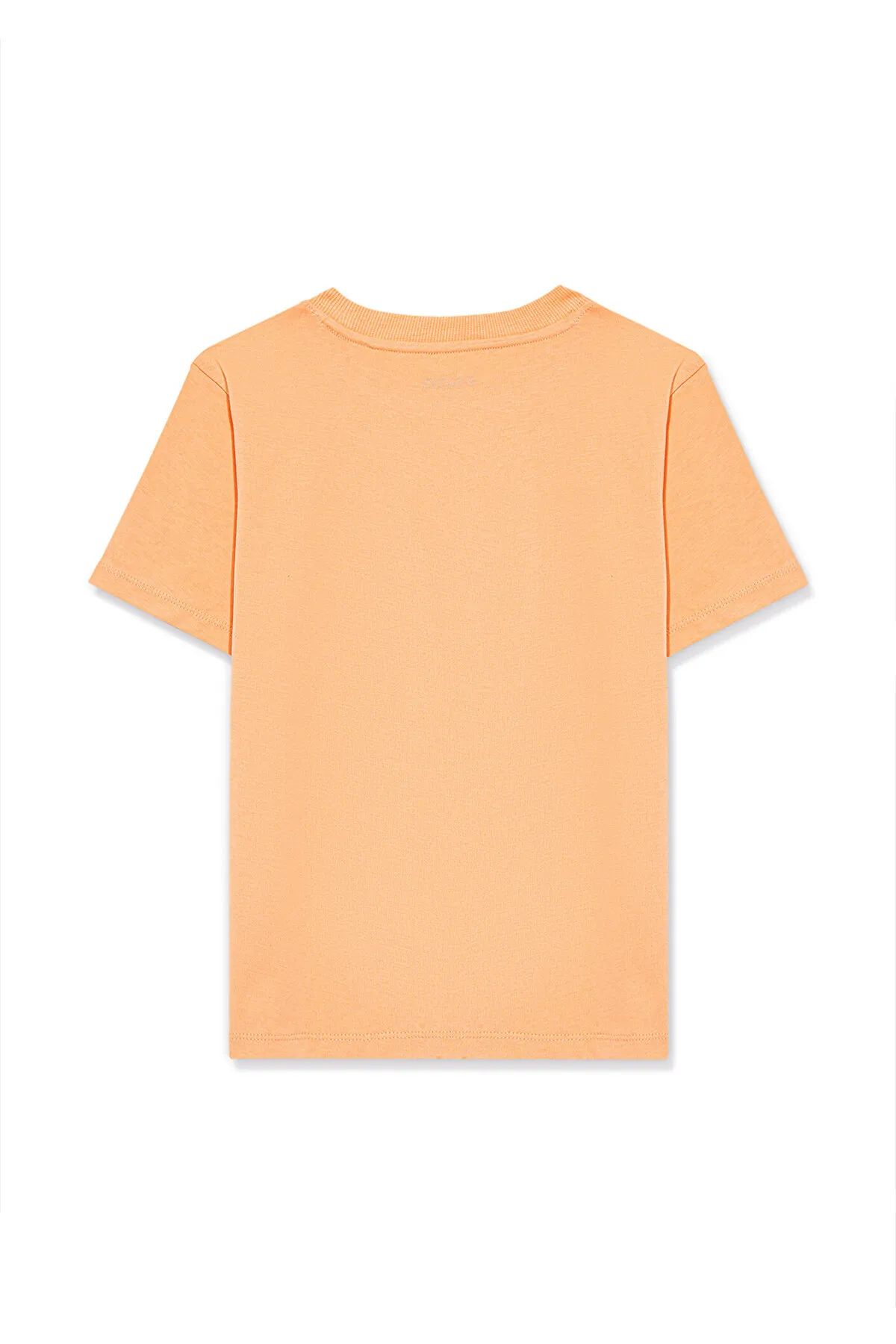 Mavi  Oranges T-Shirt mit Logo-Aufdruck Normale Passform / Normale Passform7610109-71124