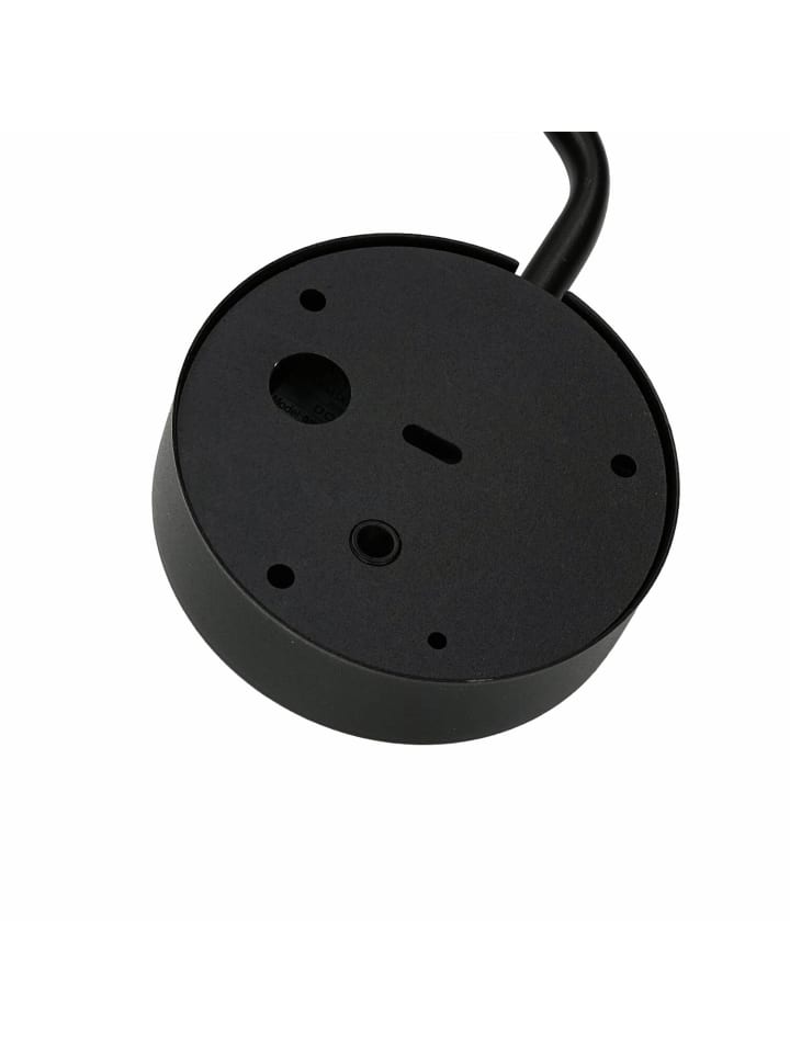 Licht-Erlebnisse Wandlampe in Schwarz günstig kaufen onesize