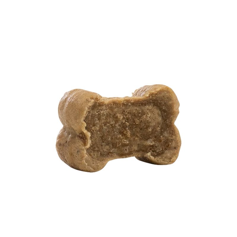 Caniland Dog Bones Insect