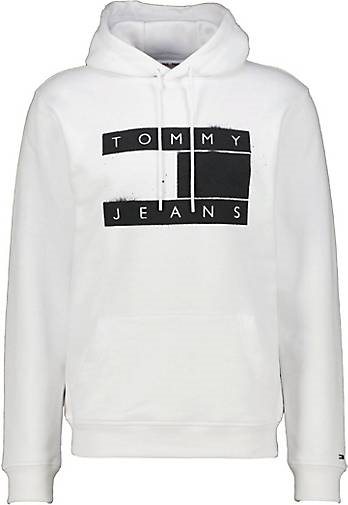 TOMMY-JEANS Herren Hoodie FLAG SPRAY Regular Fit