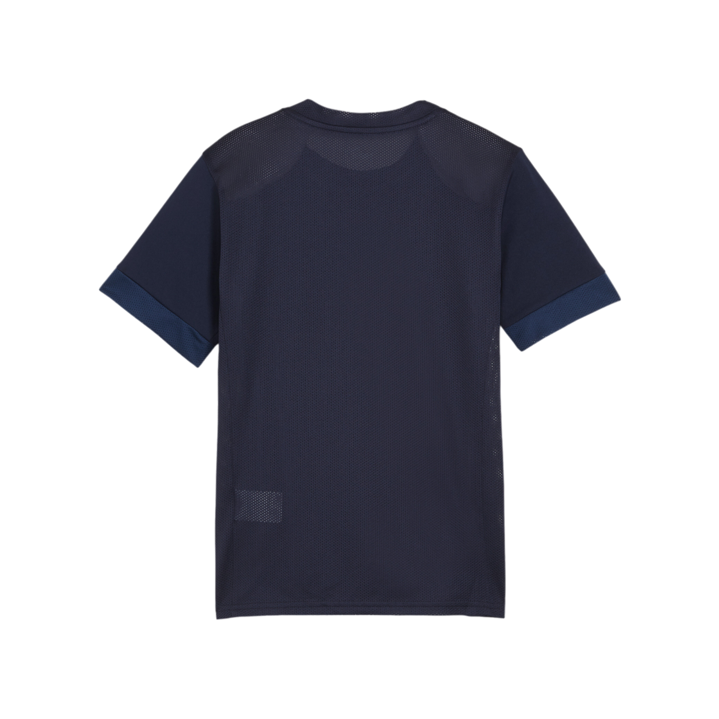 PUMA teamGOAL Matchday Trikot Kids Blau Weiss F06