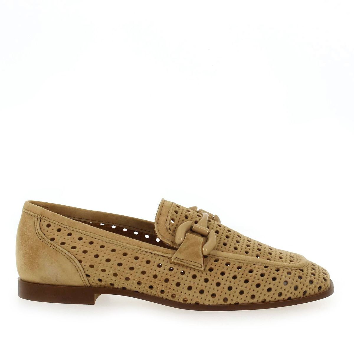 Alpe  2300 - Camel
