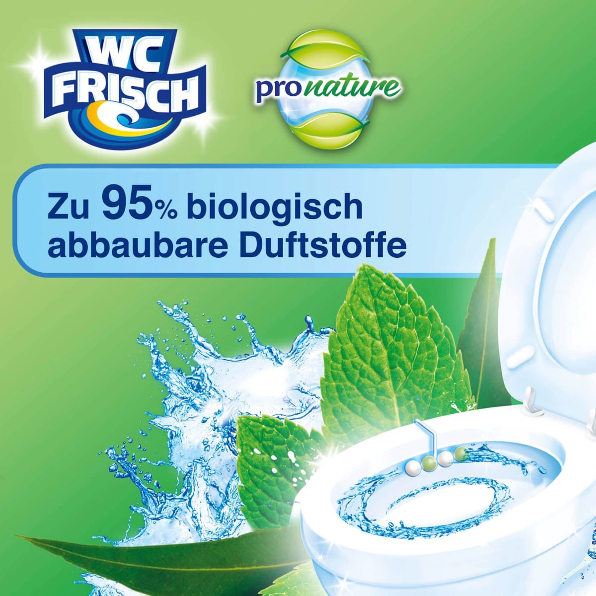 WC-Stein Kraft Aktiv Pro Nature Minze & Eukalyptus, 1 St