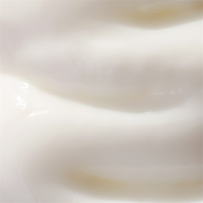 Hand & Body Lotion