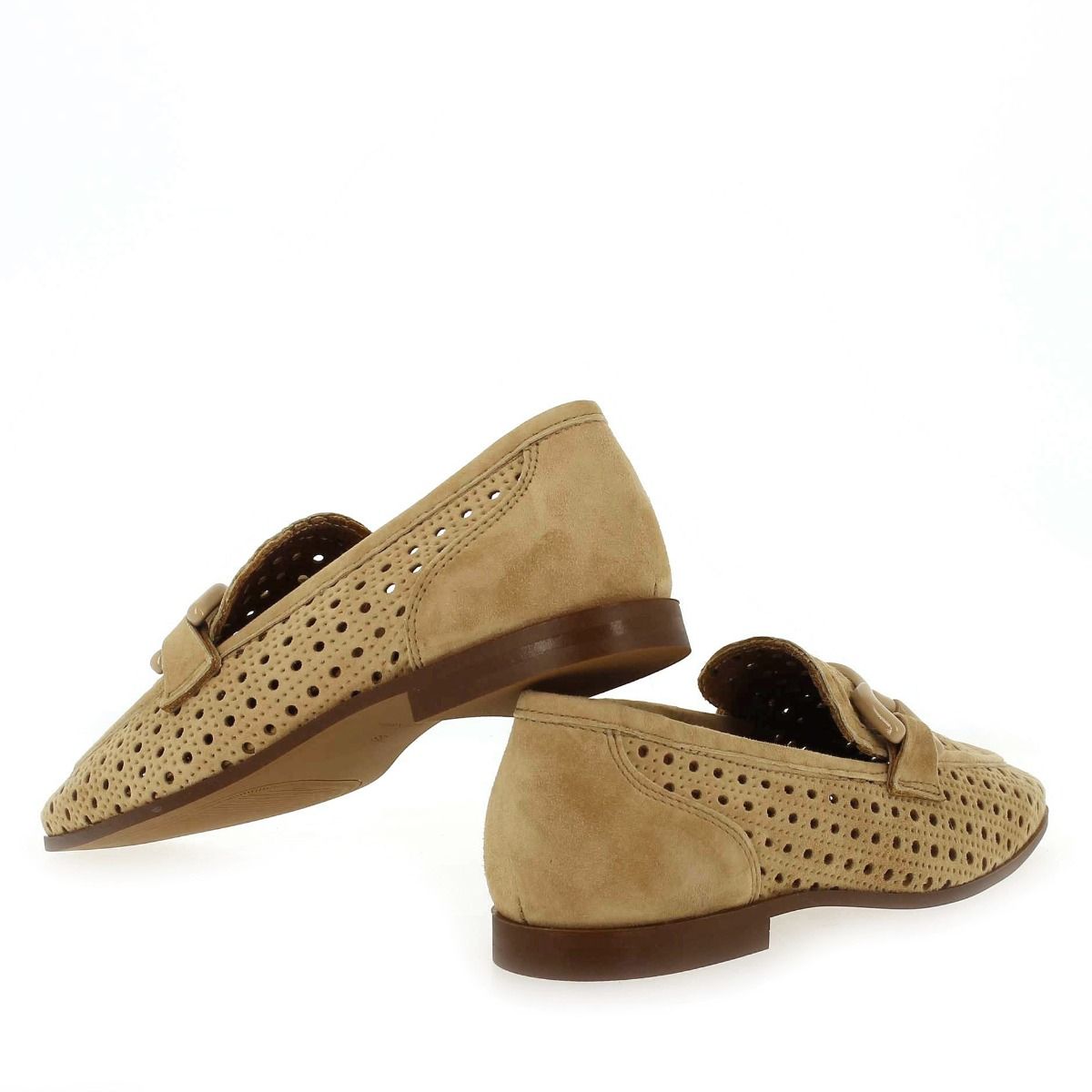 Alpe  2300 - Camel