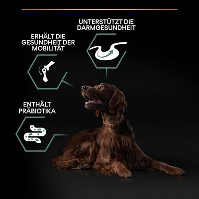 PURINA PRO PLAN Large Adult Athletic Lamm & Reis Sensitive Digestion