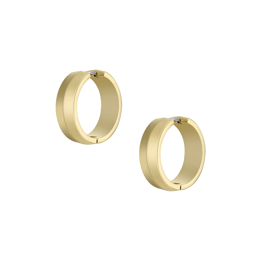 Fossil Creolen JEWELRY