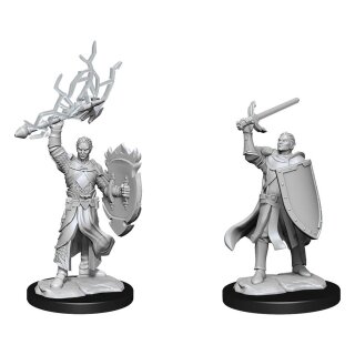 D&D Nolzur's Marvelous Miniatures - Half-Elf Paladin Male