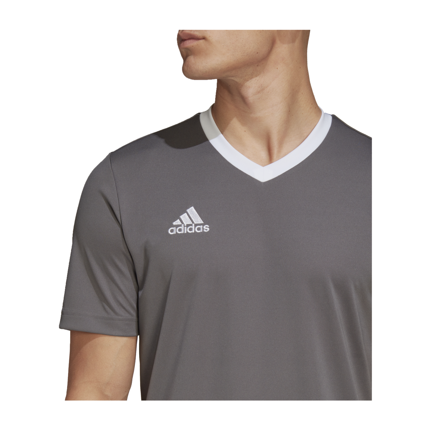 adidas Entrada 22 Trikot Grau Weiss