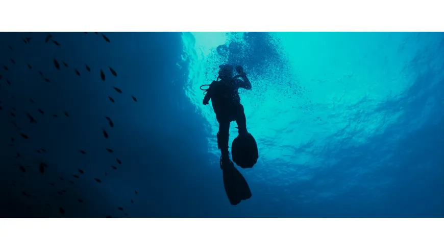 The Dive