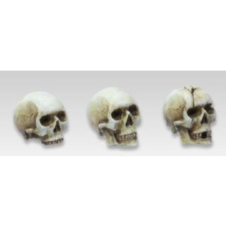 Totenschädel 90mm (6)