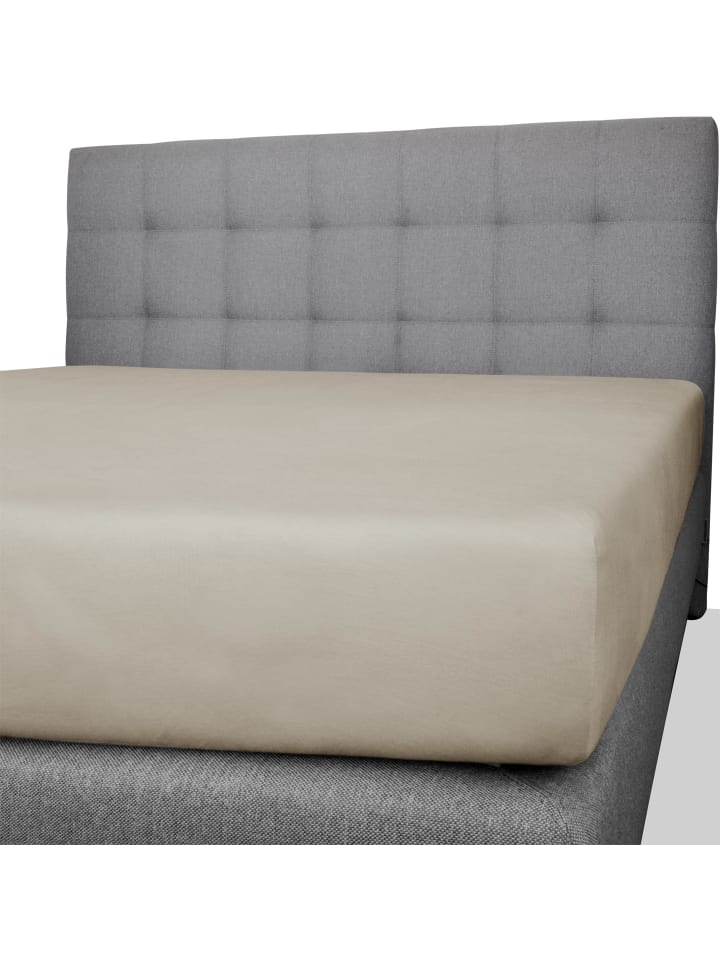 Aspero Baumwoll-Spannbettlaken Natal in Beige günstig kaufen 140-160 x 200 cm