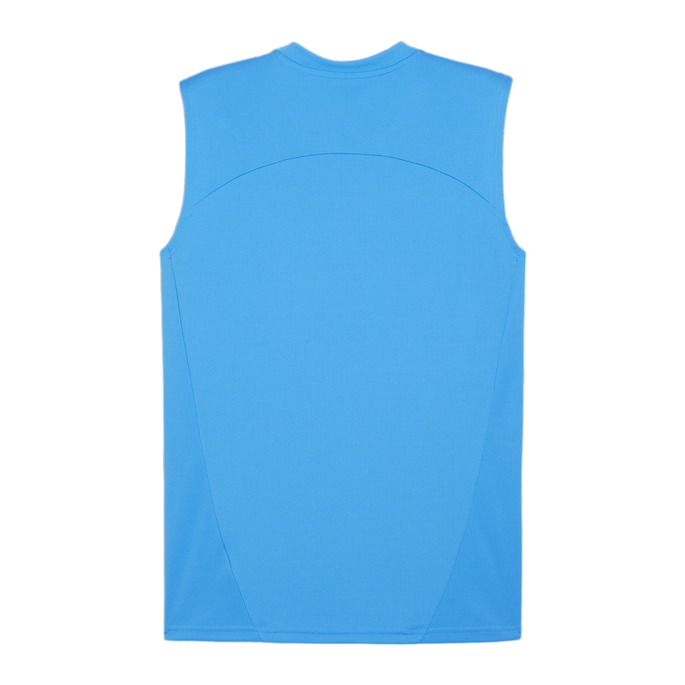 PUMA teamFINAL Tanktop Blau F02