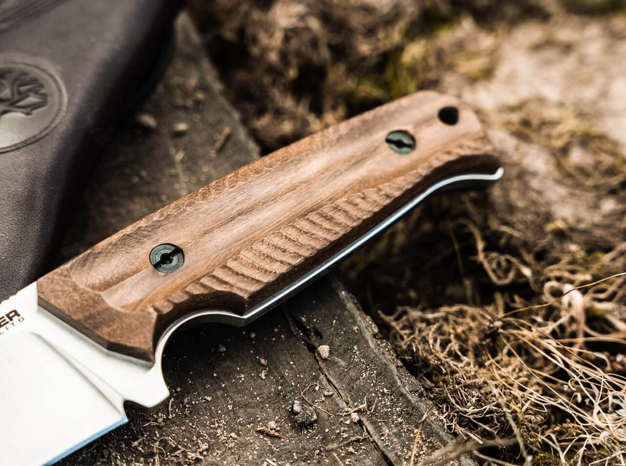 Bison Guayacan 2.0