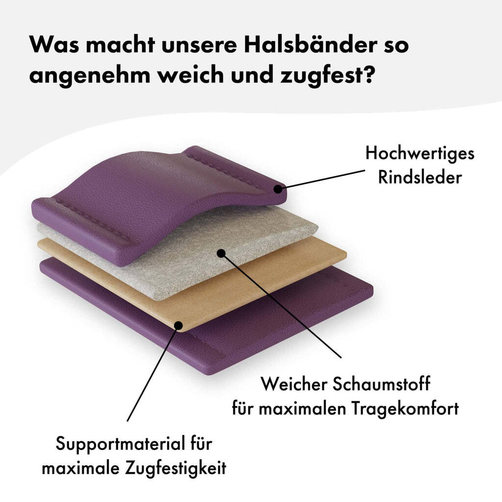 William Walker Hundehalsbänder William Walker Hundehalsband Plain Lavender XL