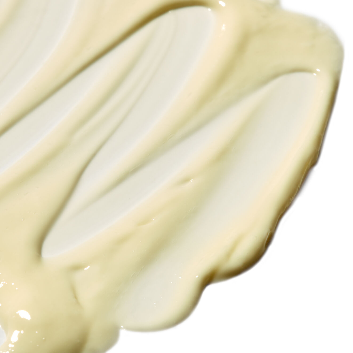 Pai Salvation Jane Crème Hydratante Riche en Omégas