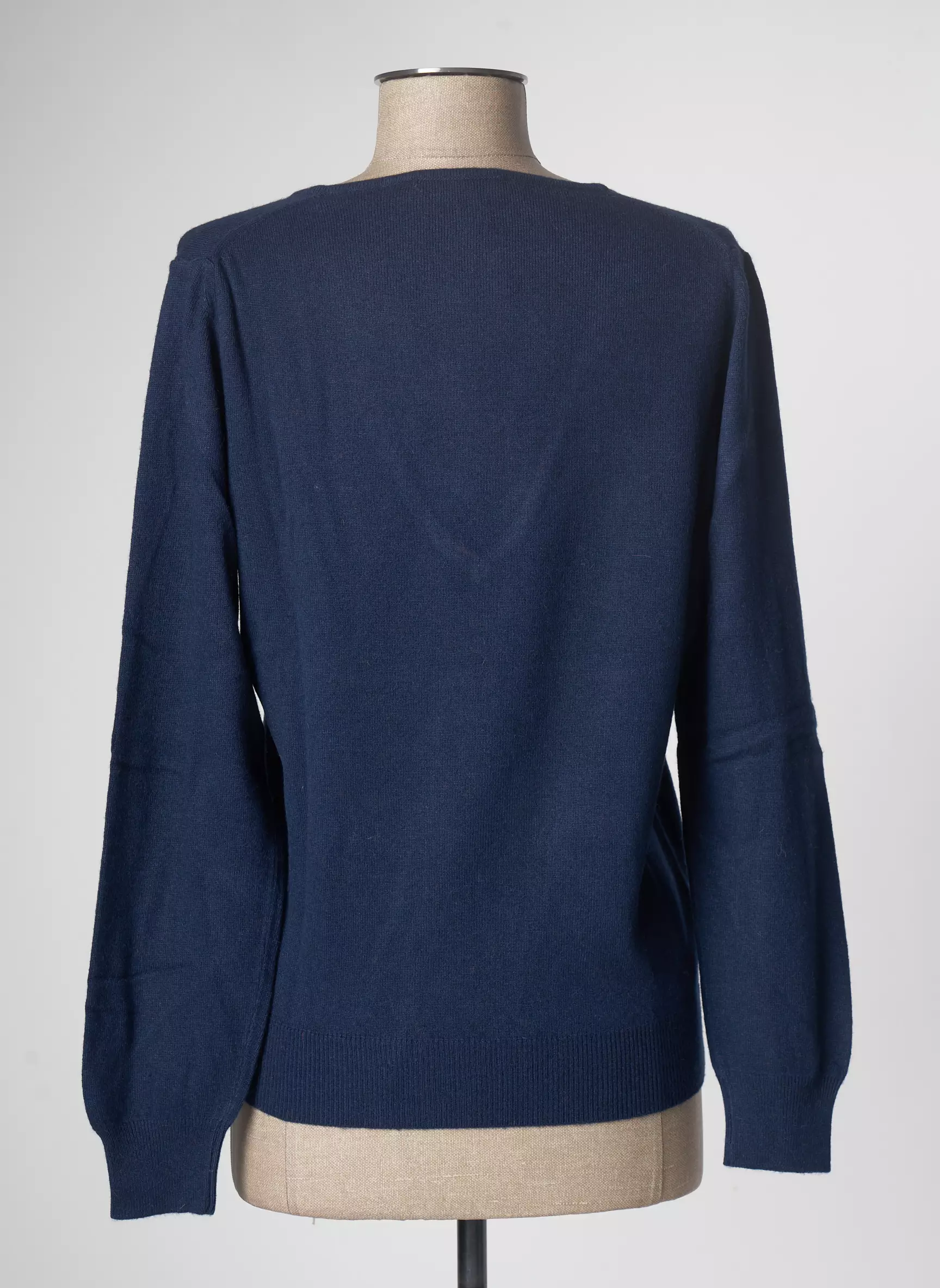Tricobel Pulls Femme couleur bleu