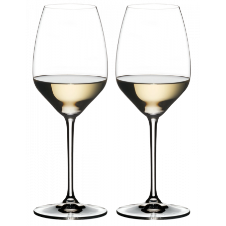 2 VERRES RIESLING EXTREME - RIEDEL