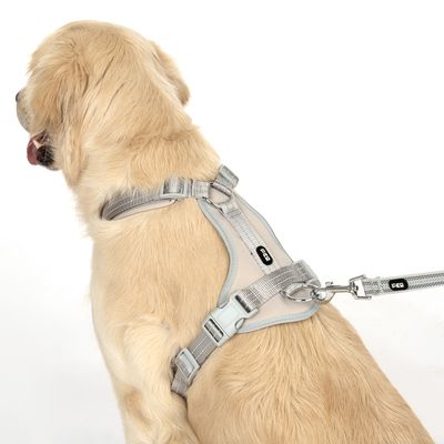 TIAKI Geschirr Neoprene, grau