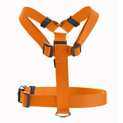 HUNTER Set: Geschirr London Vario Rapid + Führleine London, orange