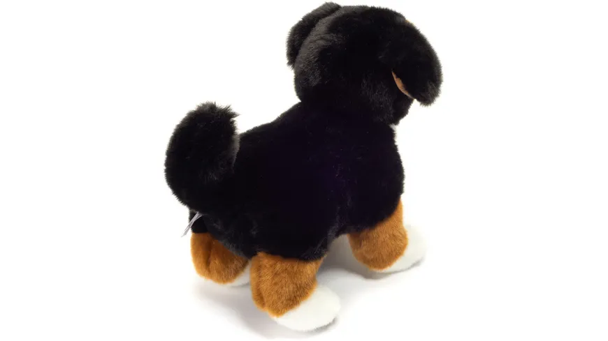 Teddy-Hermann - Berner Sennenhund Welpe stehend, 23 cm