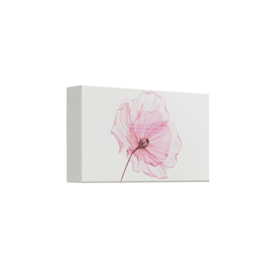 Cherry Blossom & Rice Milk Bath & Body Gift Set Small