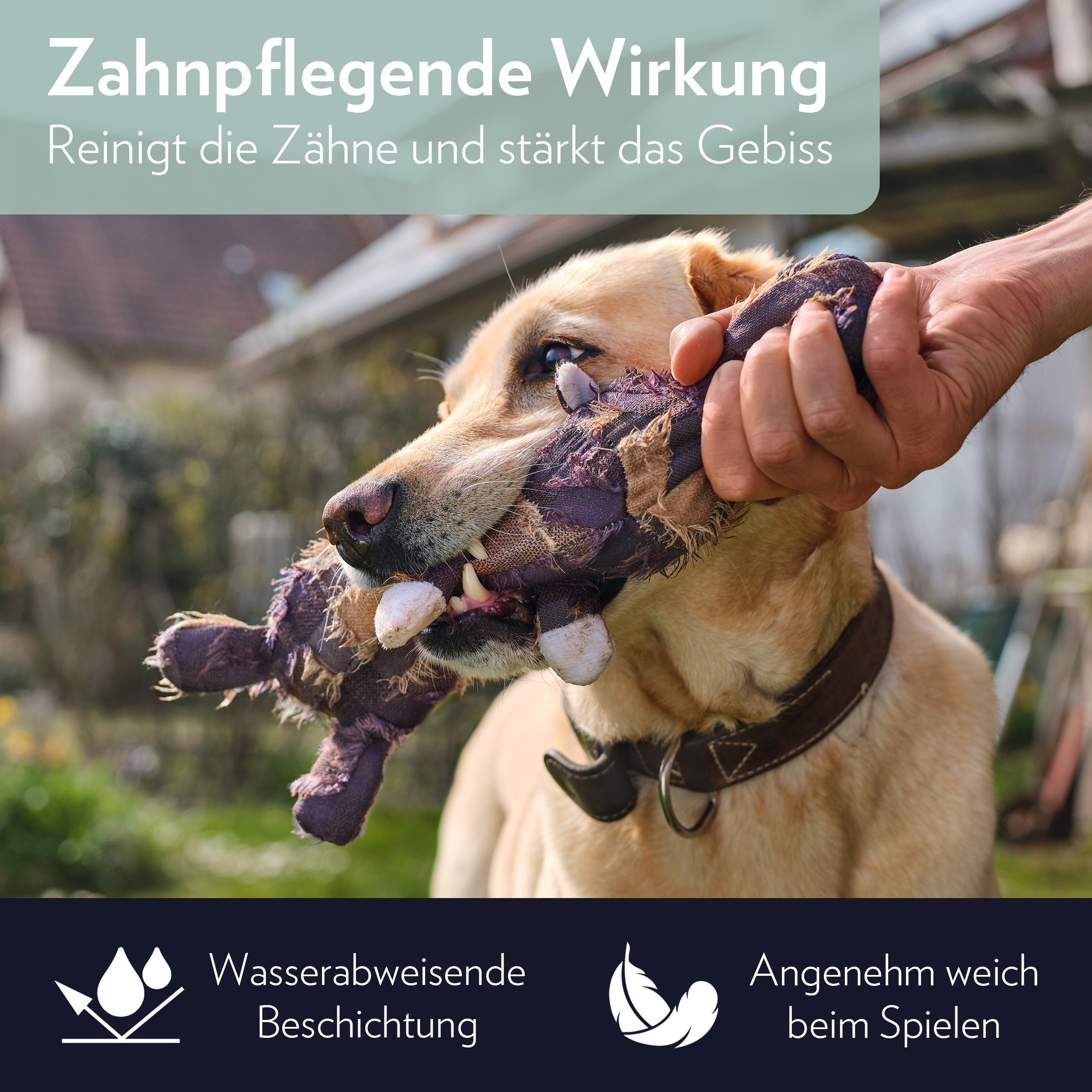 TETHAK Tierkuscheltier Hundespielzeug, Quietschend, (1-tlg)