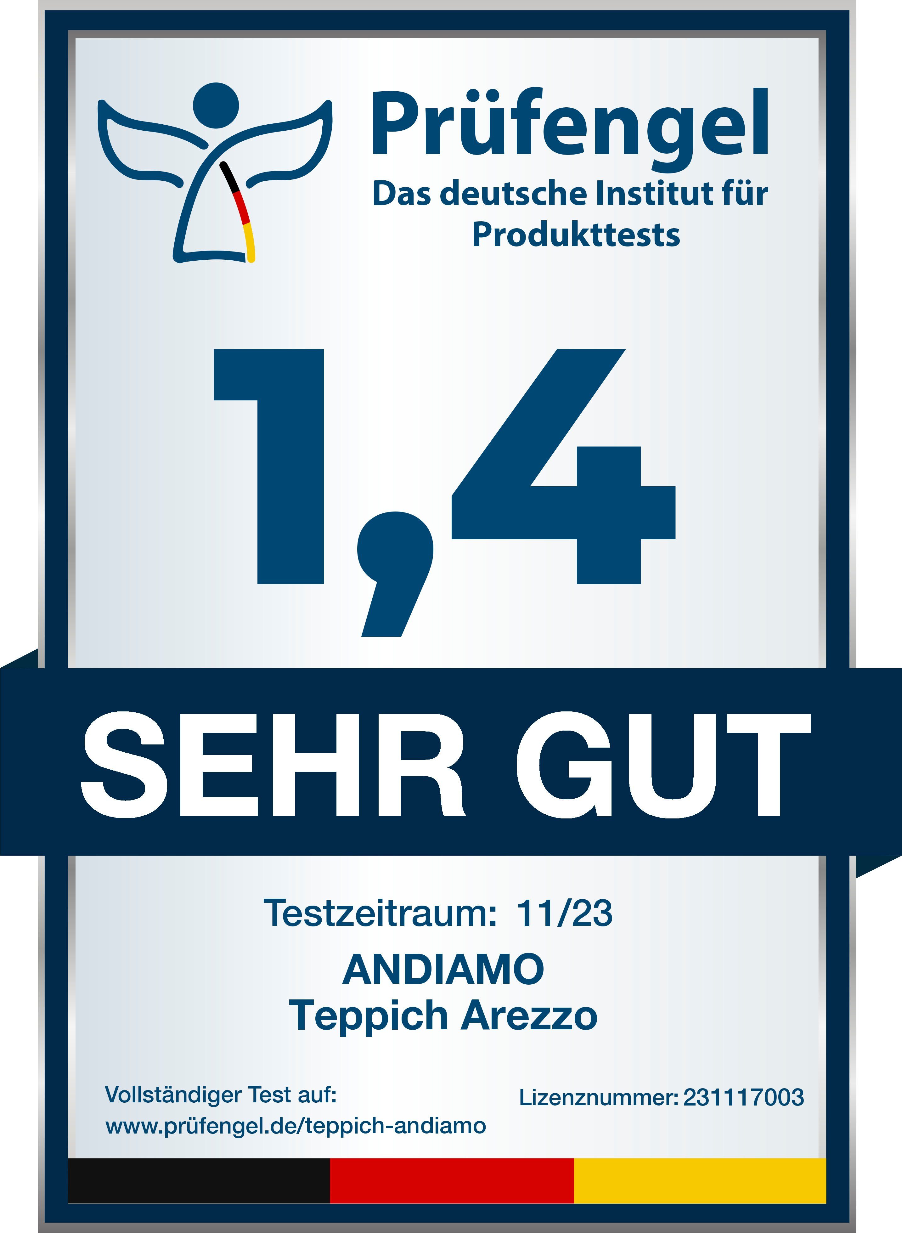 Teppich Arezzo, Andiamo, rechteckig, Höhe: 16 mm, Uni Farben, weicher Flor, waschbar, ideal im Wohnzimmer & Schlafzimmer