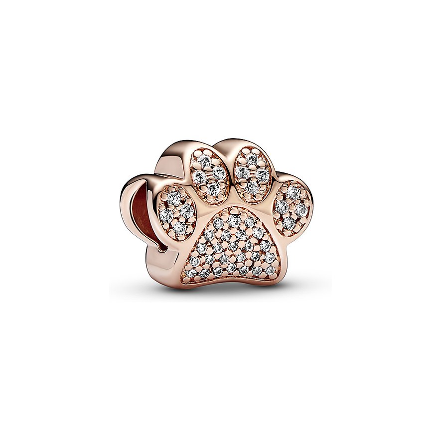 Pandora Charm Moments