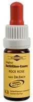 Original BACHBLüTEN Murnauer Tropfen Rock Rose  20 ml  Tropfen