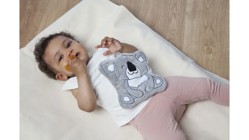Grünspecht Wärmezoo mit Bezug Koala
