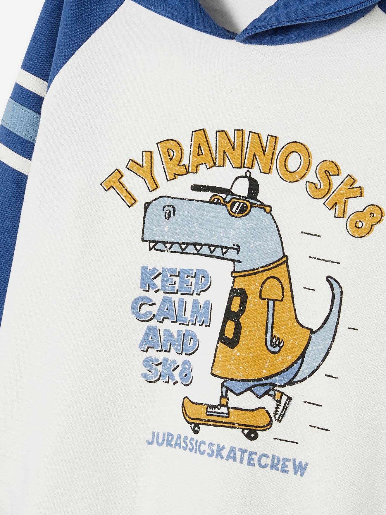 Sweat à capuche animations graphique garçon manches raglan bleu