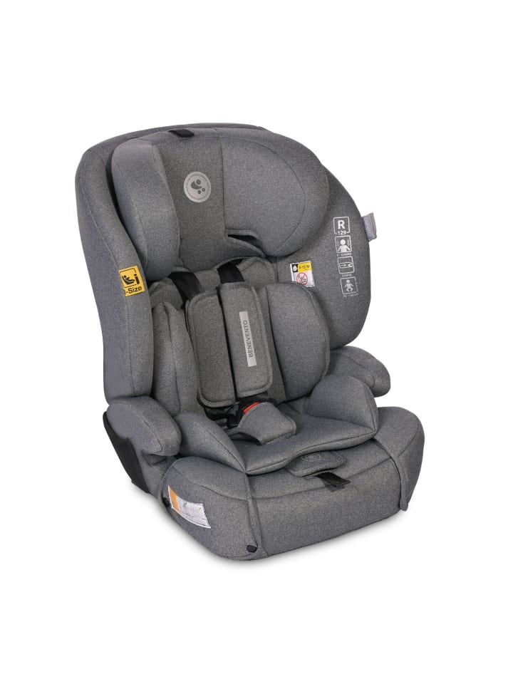 Lorelli Kindersitz i-Size Benevento in grau günstig kaufen onesize