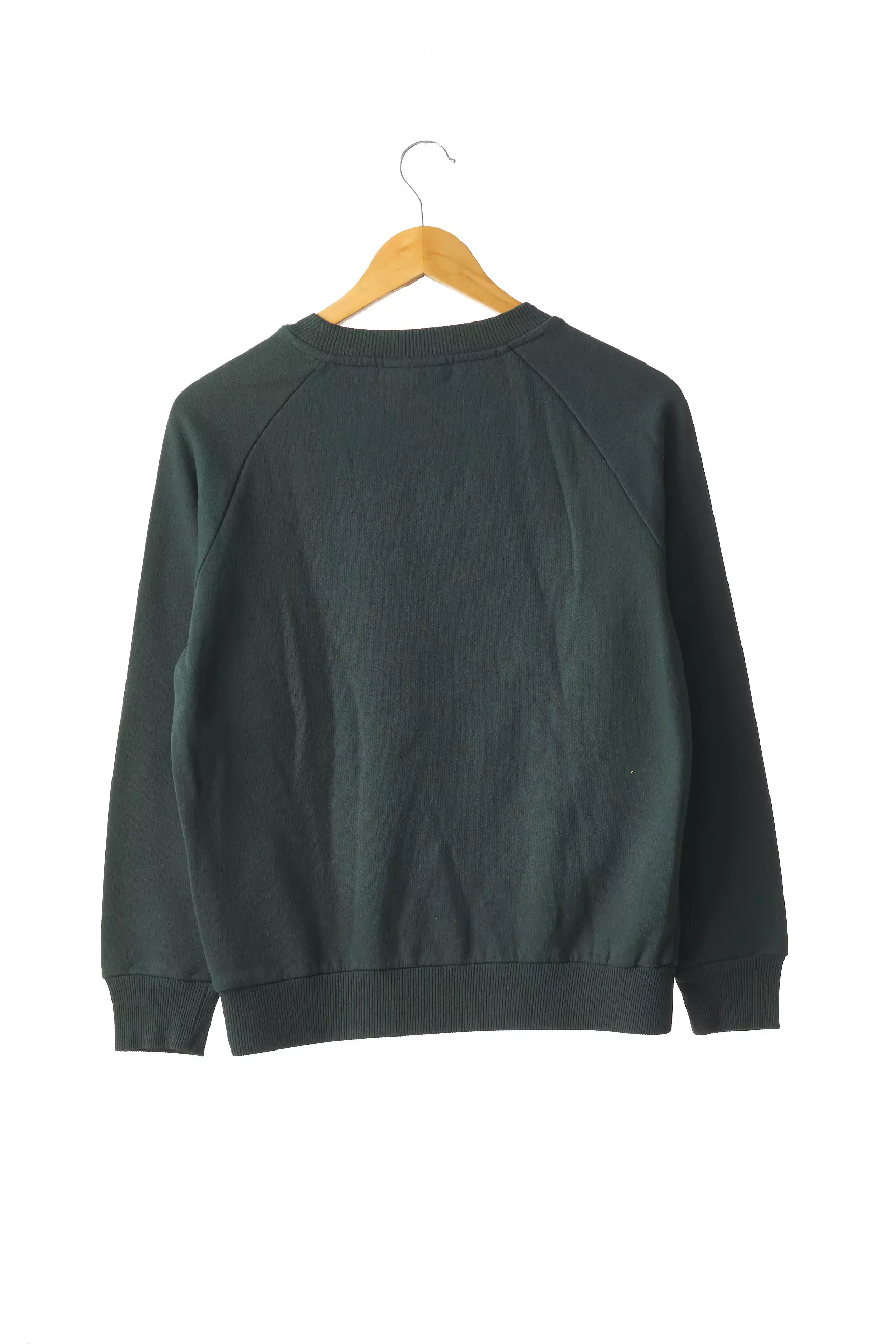 Pferdgarten Sweats Femme couleur vert