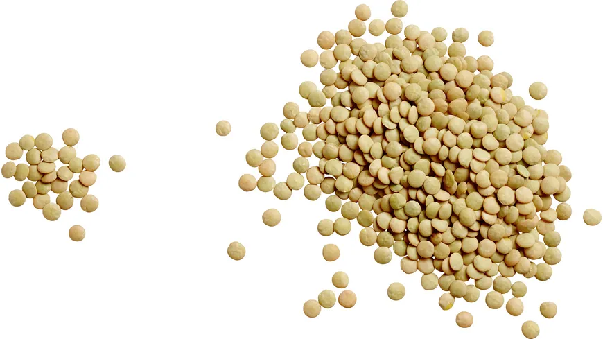 Seeberger Linsen 500 g