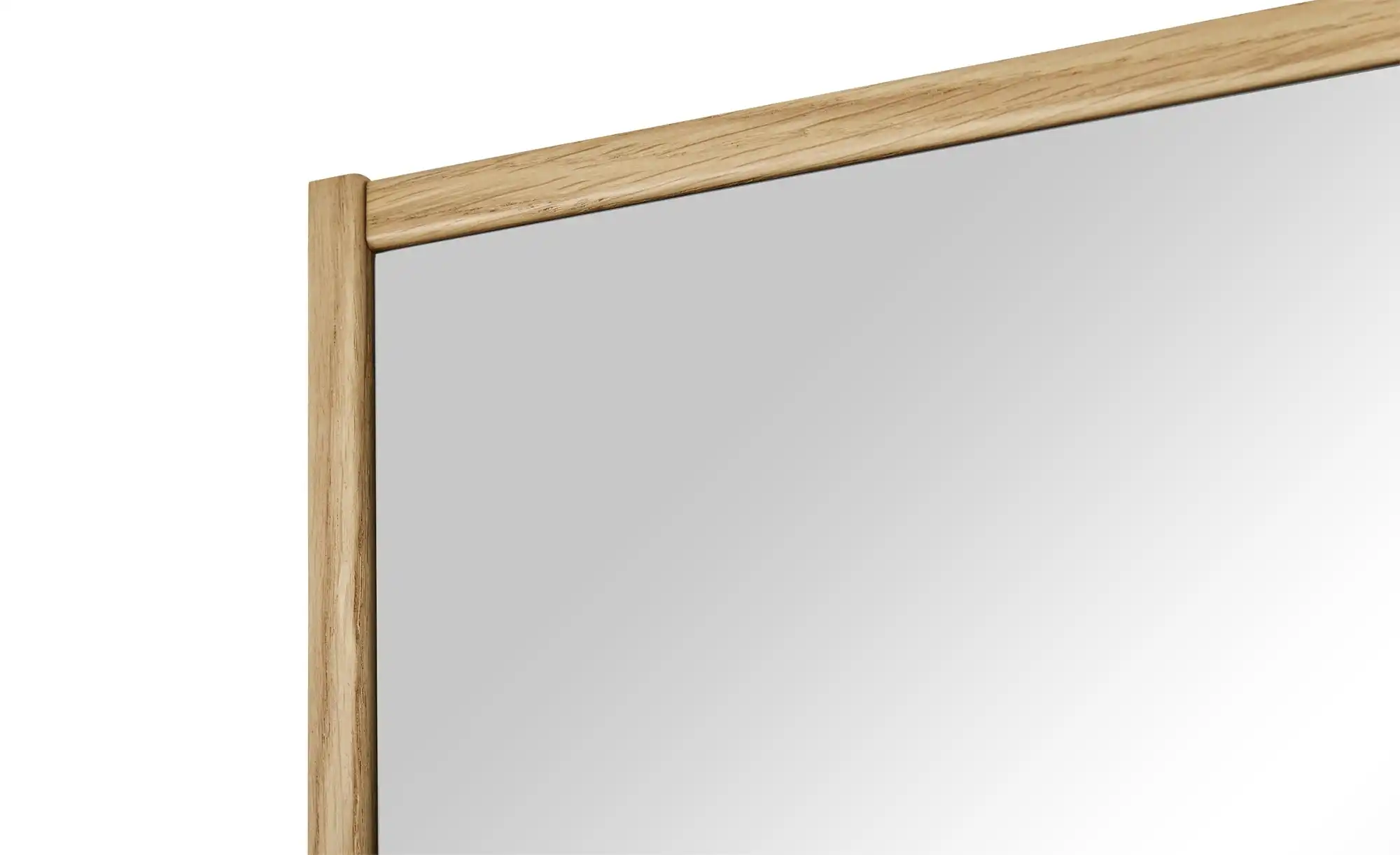 Spiegel 43 x 82 cm