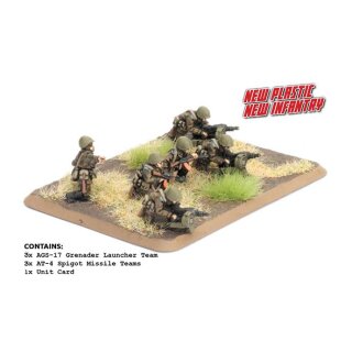 Afgansty Heavy Weapons (plastic)