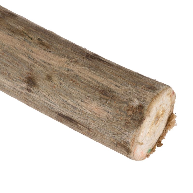TIAKI Naturholz-Sitzstange zu TOP-Preisen