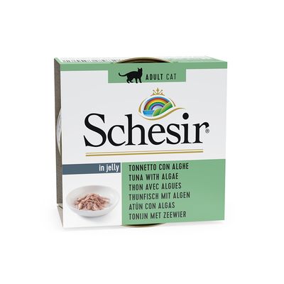 Schesir in Gelee 6 x 85 g