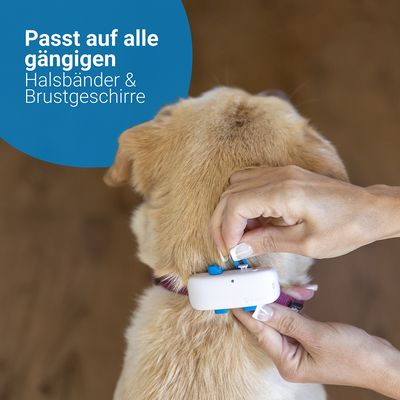 Tractive GPS Tracker für Hunde