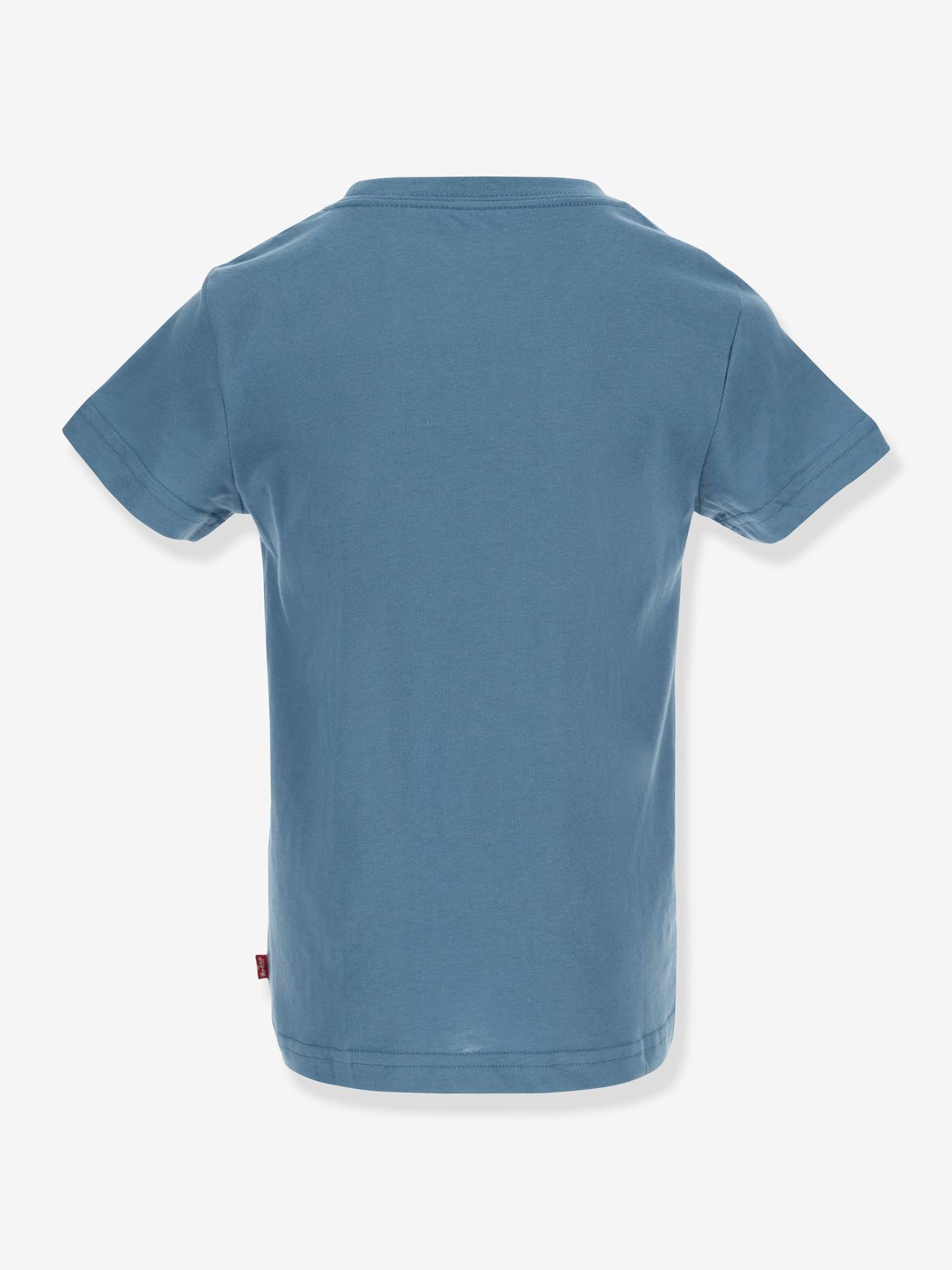 Levis Jungen T-Shirt Batwing Levi's - graublau